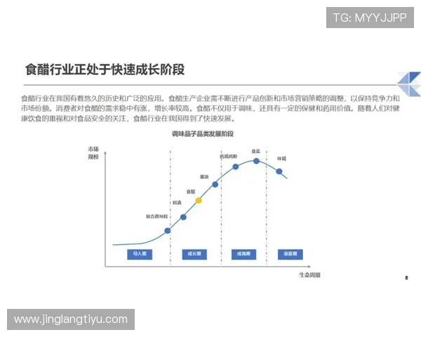 亚博YB网娱乐：行业专家分析平台未来发展趋势与创新方向