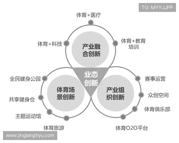 尊龙体育产业：如何打造具有国际竞争力的体育产业链与品牌影响力