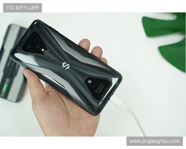 平博线上手机版安全稳定的登录体验与多样化游戏选择推荐